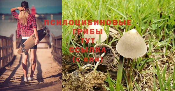 крисы Болохово