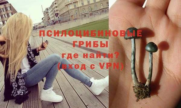 мяу мяу кристалл Болотное