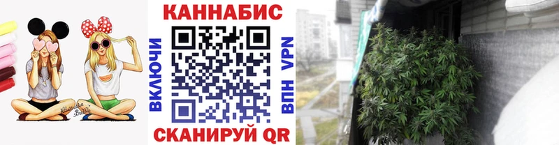 Канабис VHQ  Нефтегорск 